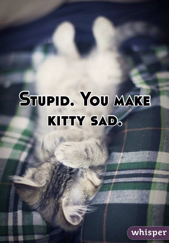 Stupid. You make kitty sad. 