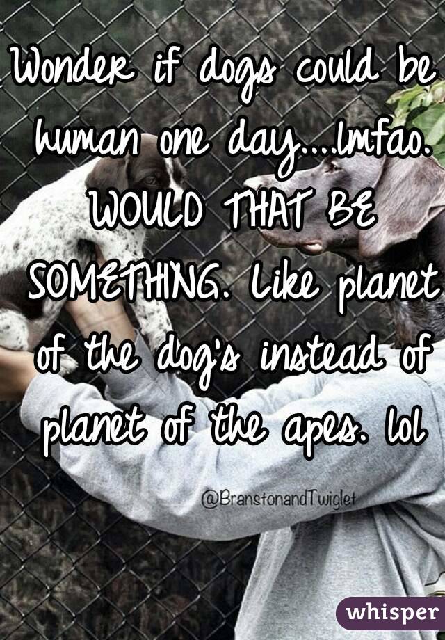 Wonder if dogs could be human one day....lmfao. WOULD THAT BE SOMETHING. Like planet of the dog's instead of planet of the apes. lol