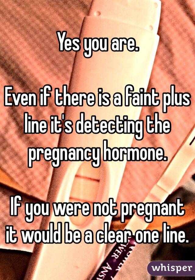 Yes you are. 

Even if there is a faint plus line it's detecting the pregnancy hormone. 

If you were not pregnant it would be a clear one line. 