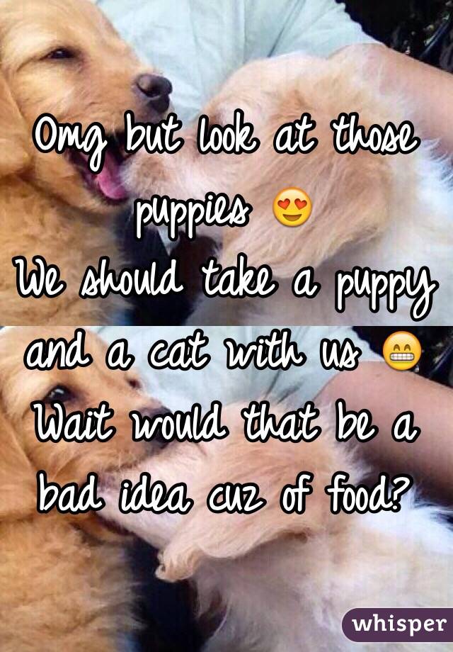 Omg but look at those puppies 😍
We should take a puppy and a cat with us 😁
Wait would that be a bad idea cuz of food?