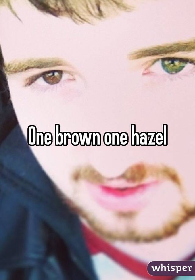 One brown one hazel