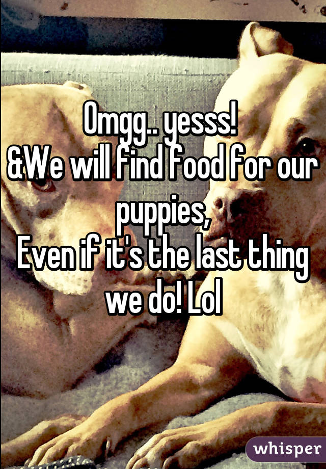 Omgg.. yesss! 
&We will find food for our puppies,
Even if it's the last thing we do! Lol
