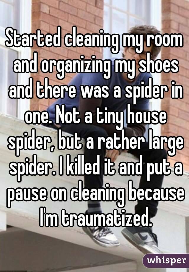 Started cleaning my room and organizing my shoes and there was a spider in one. Not a tiny house spider, but a rather large spider. I killed it and put a pause on cleaning because I'm traumatized.