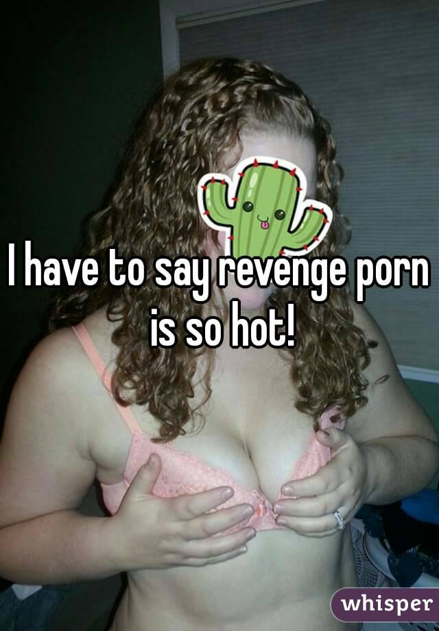 I have to say revenge porn is so hot!