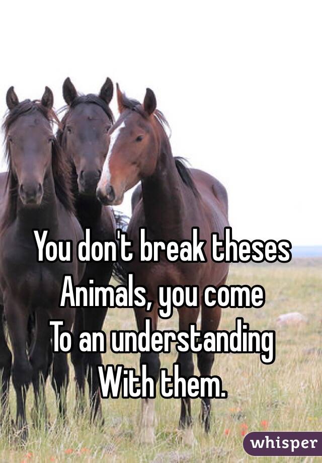 You don't break theses
Animals, you come
To an understanding 
With them.