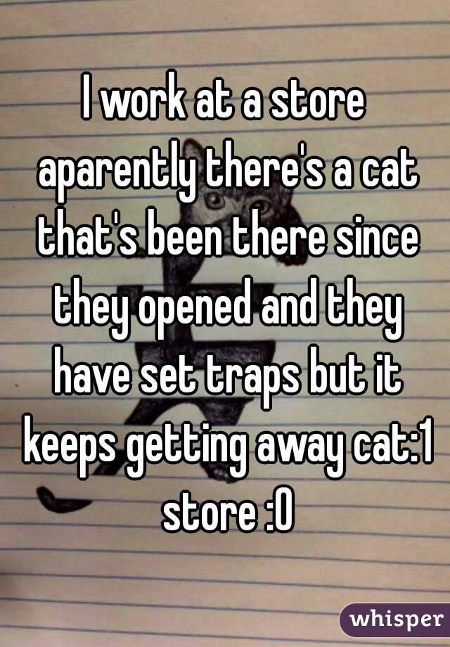 I work at a store aparently there's a cat that's been there since they opened and they have set traps but it keeps getting away cat:1 store :0