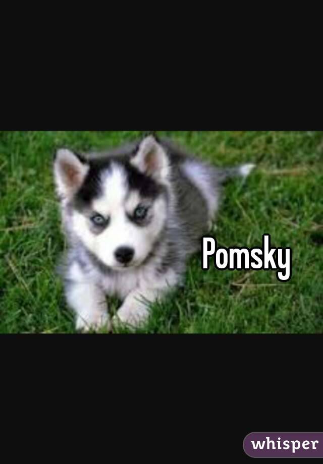 Pomsky