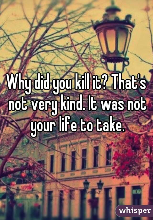 Why did you kill it? That's not very kind. It was not your life to take.