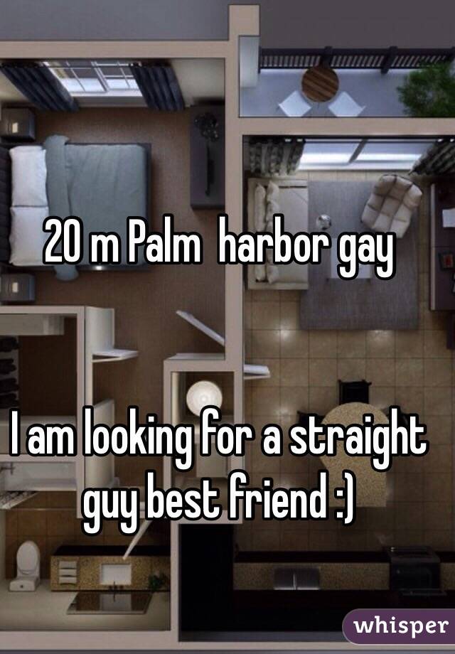 20 m Palm  harbor gay


I am looking for a straight guy best friend :) 