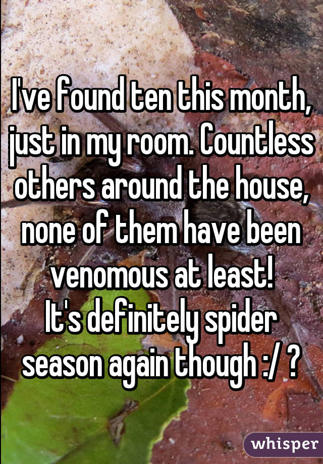 I've found ten this month, just in my room. Countless others around the house, none of them have been venomous at least!
It's definitely spider season again though :/ 😭