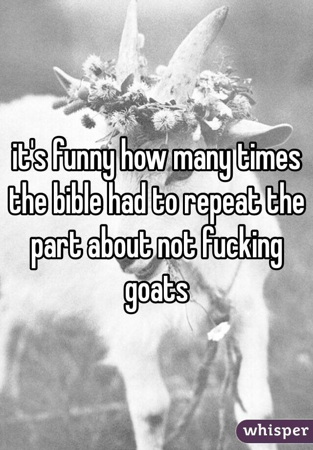 it's funny how many times the bible had to repeat the part about not fucking goats