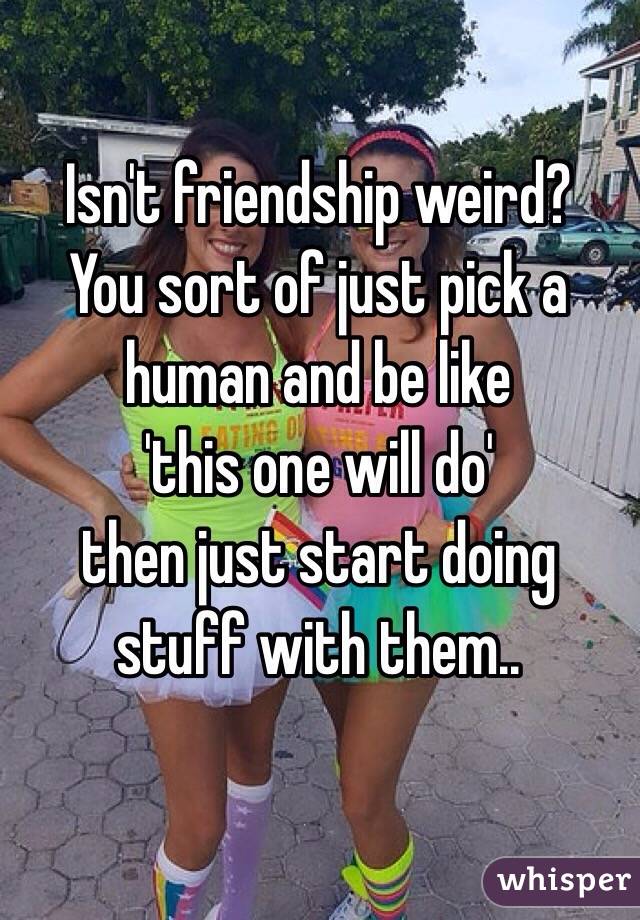 Isn't friendship weird?
You sort of just pick a human and be like 
'this one will do'  
then just start doing stuff with them..