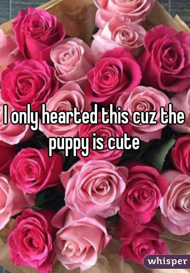 I only hearted this cuz the puppy is cute 