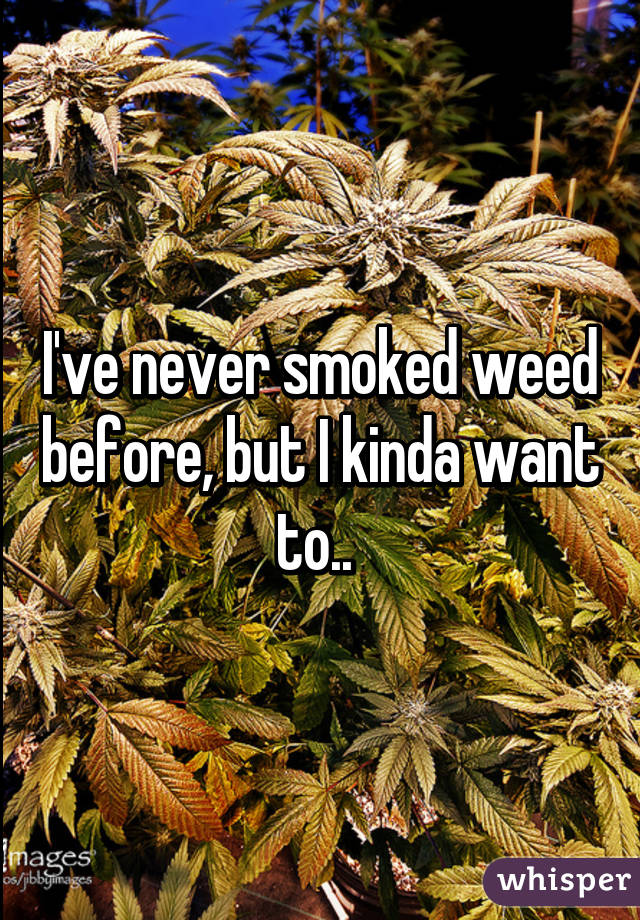 I've never smoked weed before, but I kinda want to.. 