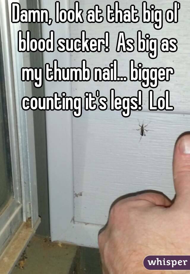 Damn, look at that big ol' blood sucker!  As big as my thumb nail... bigger counting it's legs!  LoL