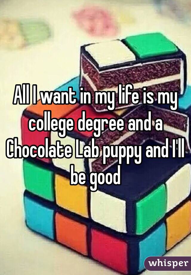 All I want in my life is my college degree and a Chocolate Lab puppy and I'll be good