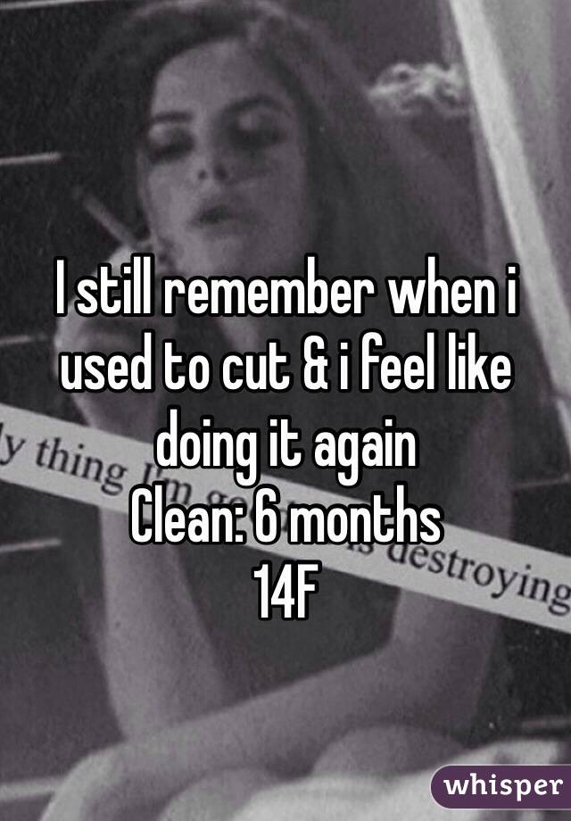 I still remember when i used to cut & i feel like doing it again
Clean: 6 months
14F