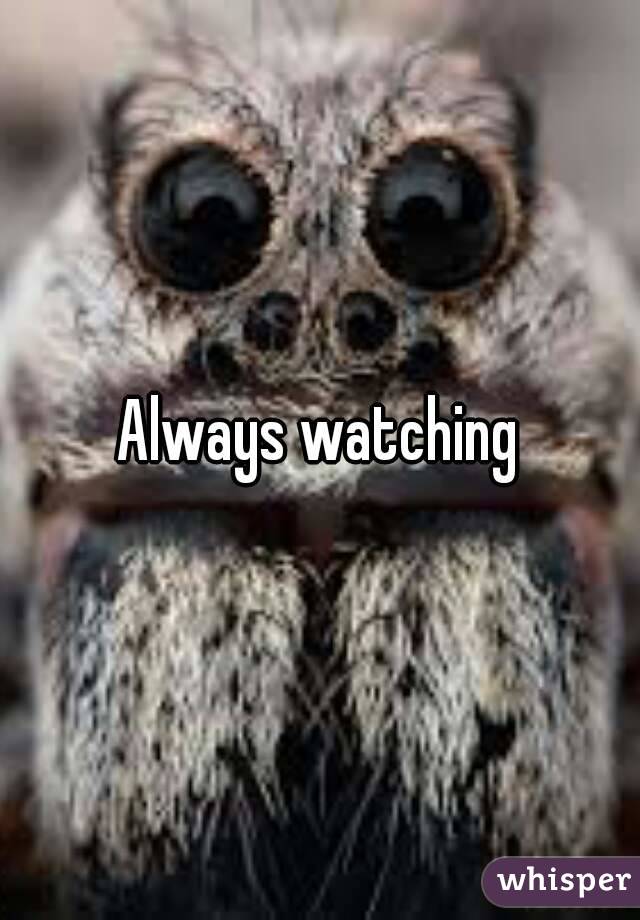 Always watching