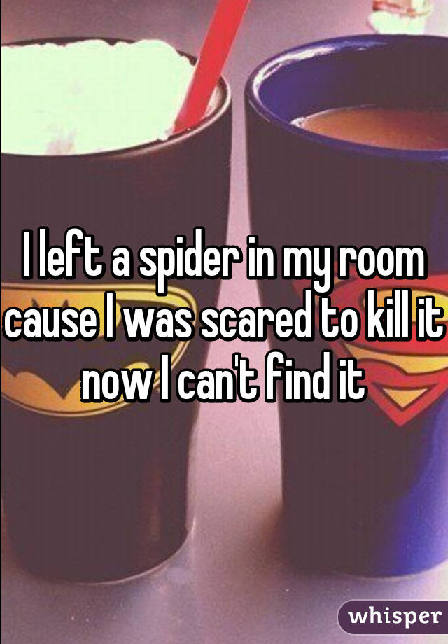 I left a spider in my room cause I was scared to kill it now I can't find it