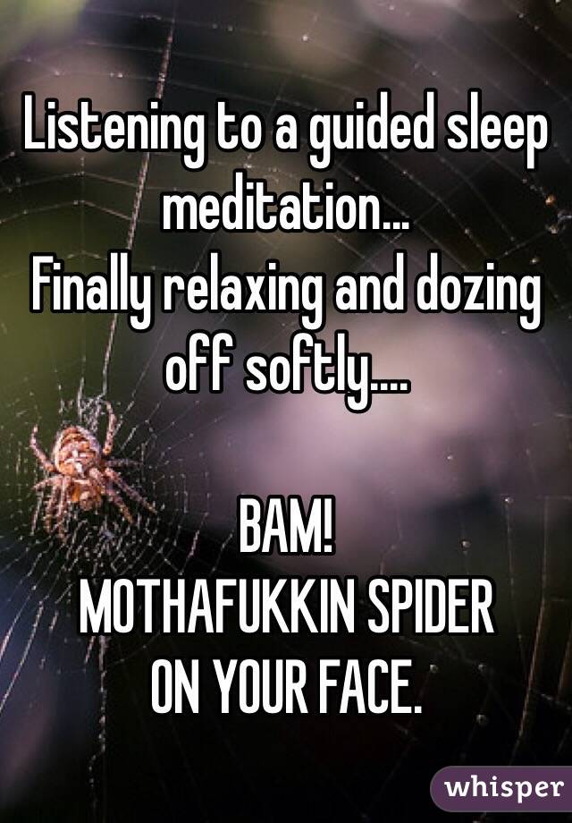 Listening to a guided sleep meditation...
Finally relaxing and dozing off softly....

BAM!
MOTHAFUKKIN SPIDER
ON YOUR FACE.