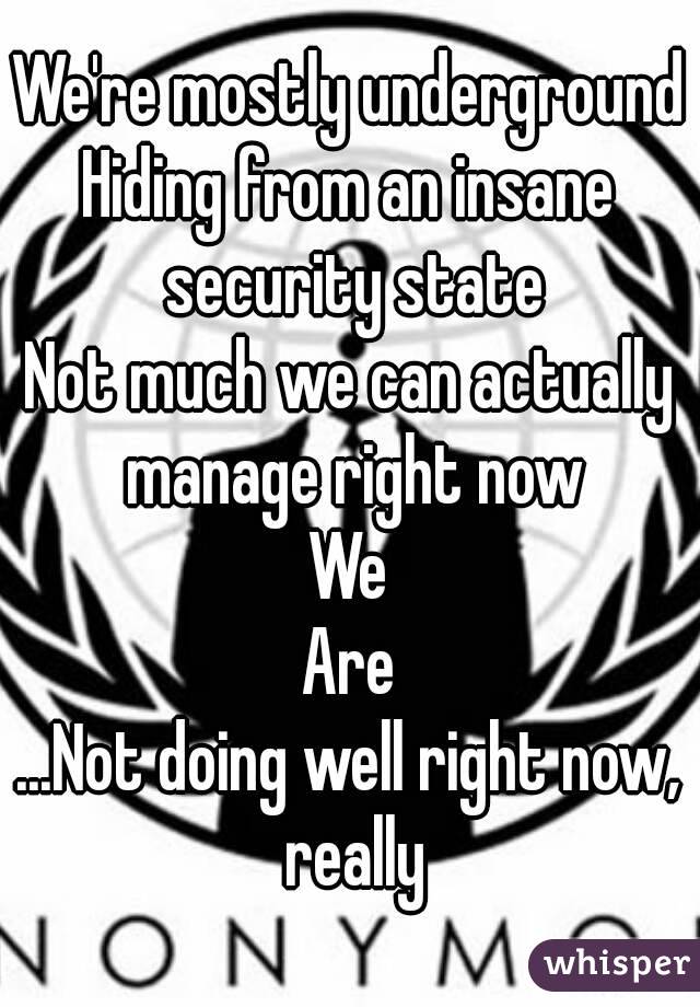 We're mostly underground
Hiding from an insane security state
Not much we can actually manage right now
We
Are
...Not doing well right now, really