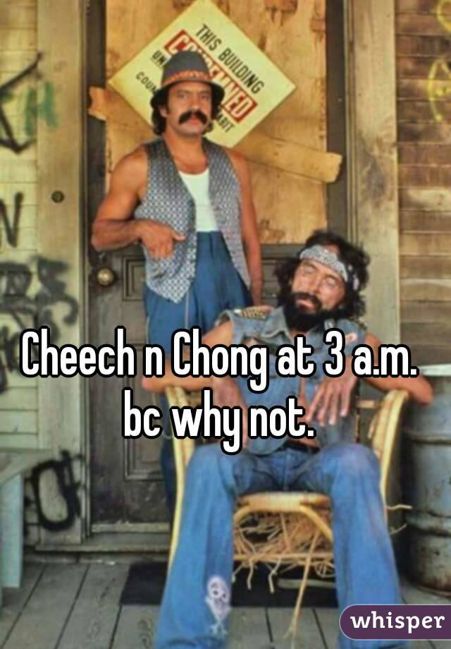 Cheech n Chong at 3 a.m. bc why not. 