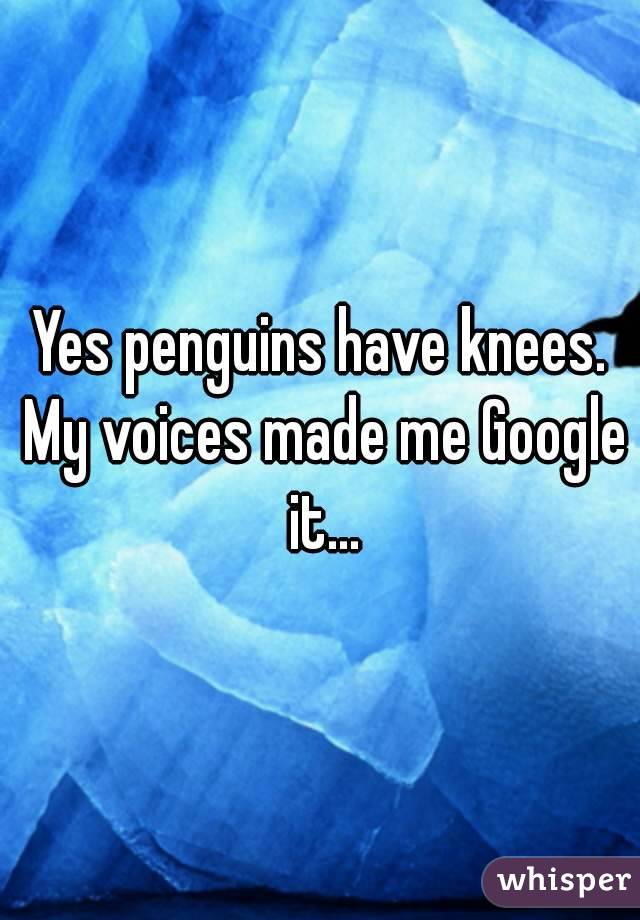 Yes penguins have knees. My voices made me Google it...