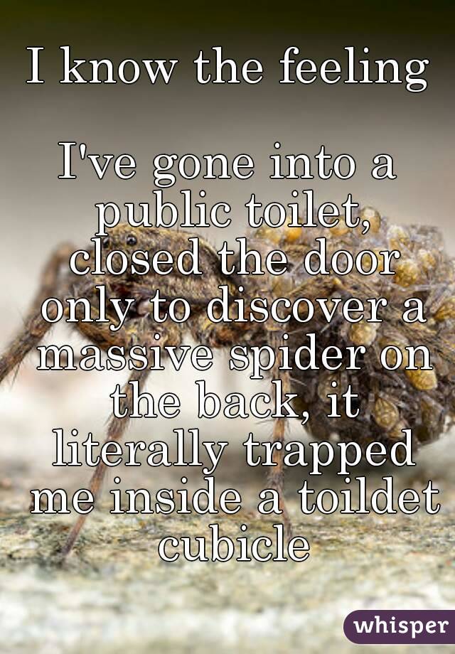 I know the feeling

I've gone into a public toilet, closed the door only to discover a massive spider on the back, it literally trapped me inside a toildet cubicle