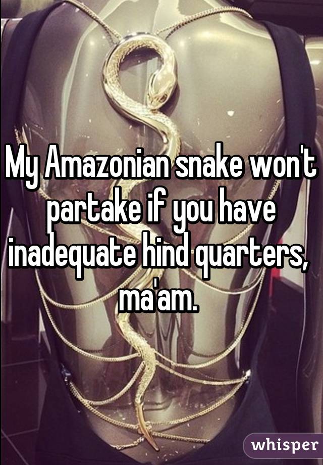 My Amazonian snake won't partake if you have inadequate hind quarters,  ma'am. 