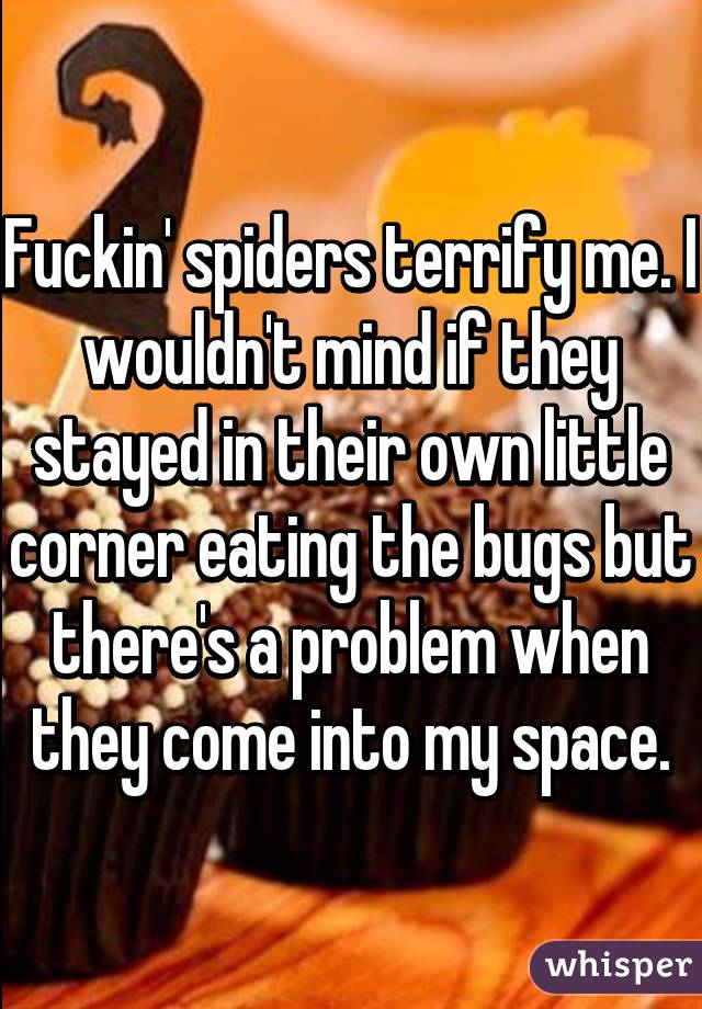 Fuckin' spiders terrify me. I wouldn't mind if they stayed in their own little corner eating the bugs but there's a problem when they come into my space.
