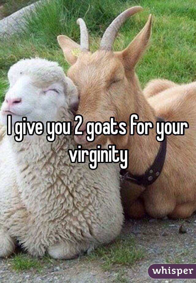 I give you 2 goats for your virginity 