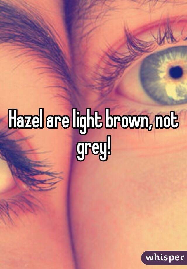 Hazel are light brown, not grey!