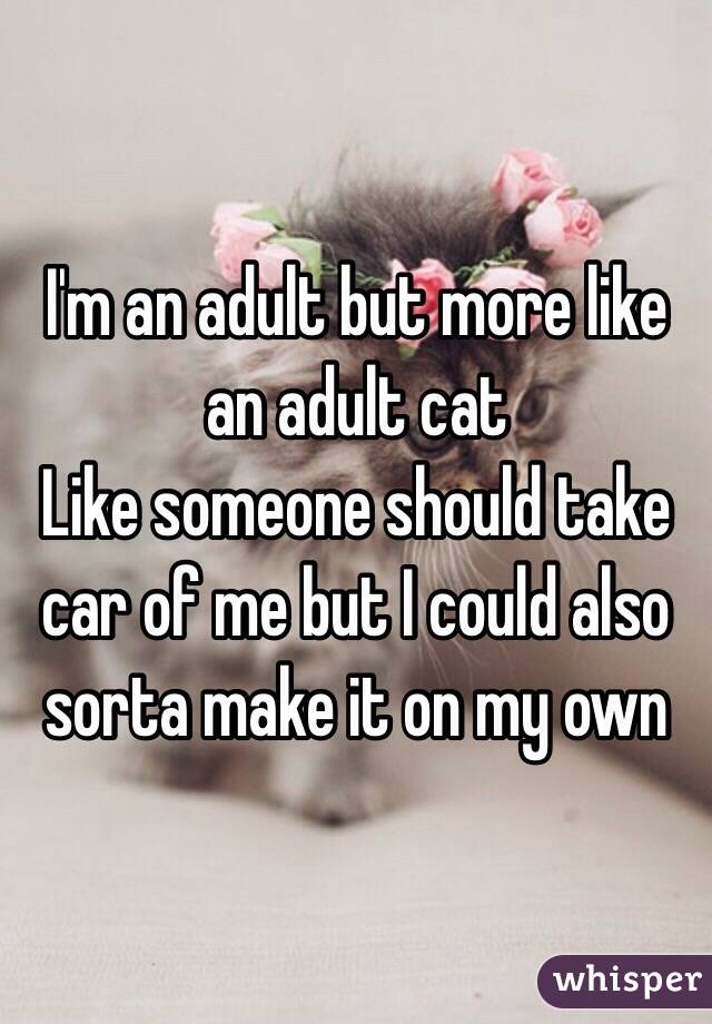 I'm an adult but more like an adult cat 
Like someone should take car of me but I could also sorta make it on my own