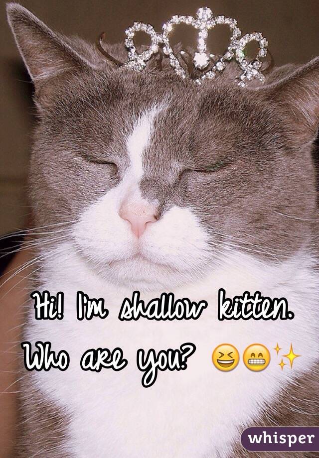 Hi! I'm shallow kitten. Who are you? 😆😁✨