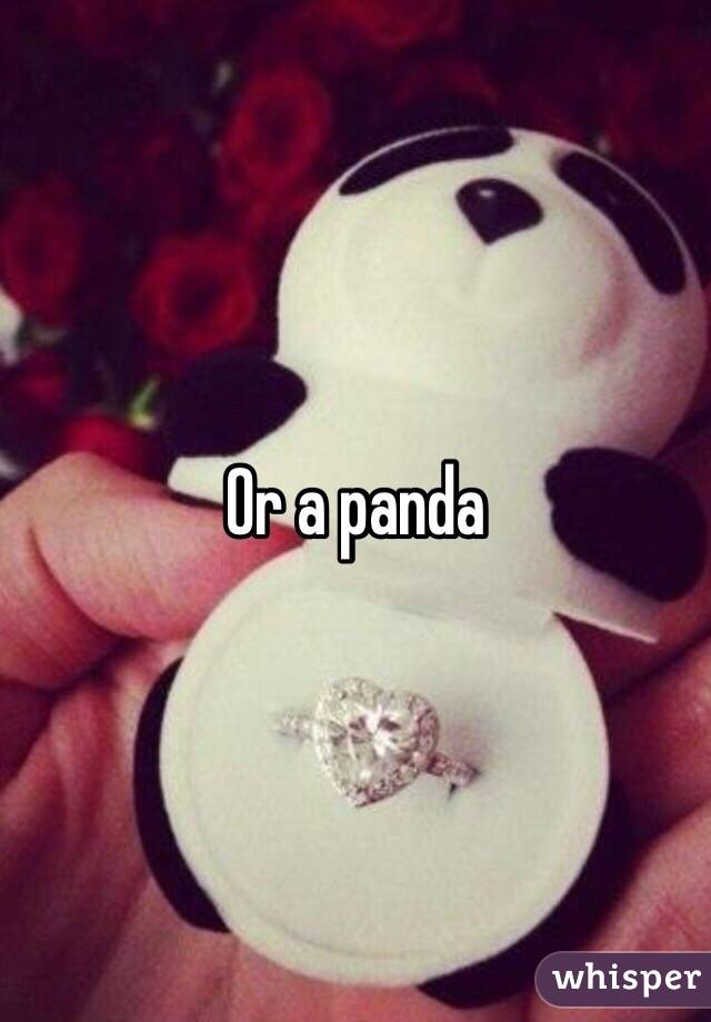 Or a panda