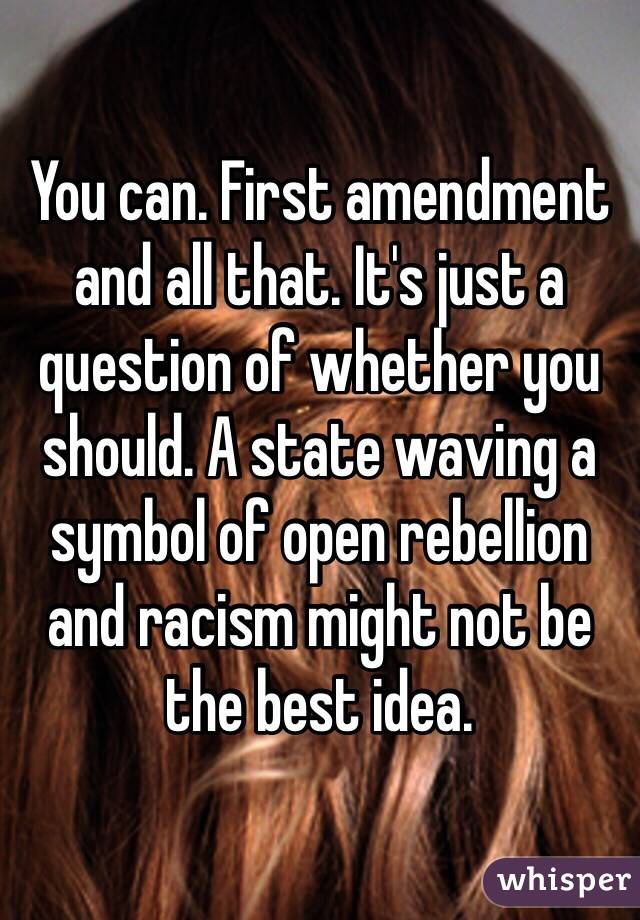 You can. First amendment and all that. It's just a question of whether you should. A state waving a symbol of open rebellion and racism might not be the best idea. 