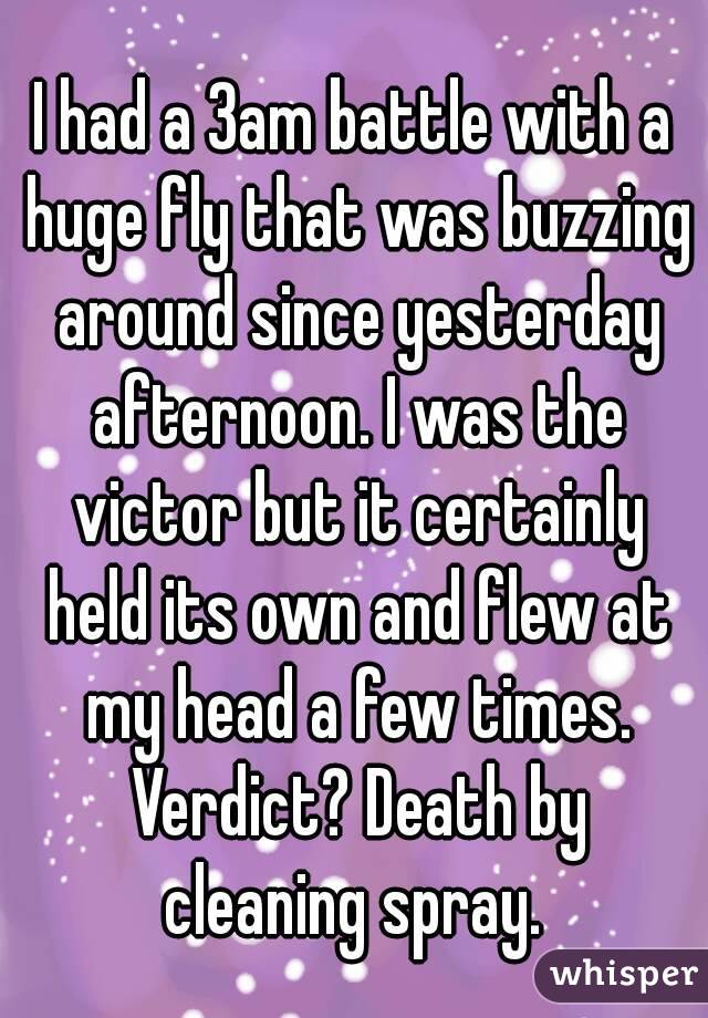 I had a 3am battle with a huge fly that was buzzing around since yesterday afternoon. I was the victor but it certainly held its own and flew at my head a few times. Verdict? Death by cleaning spray. 