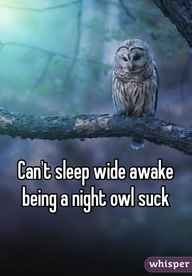 Can't sleep wide awake being a night owl suck 