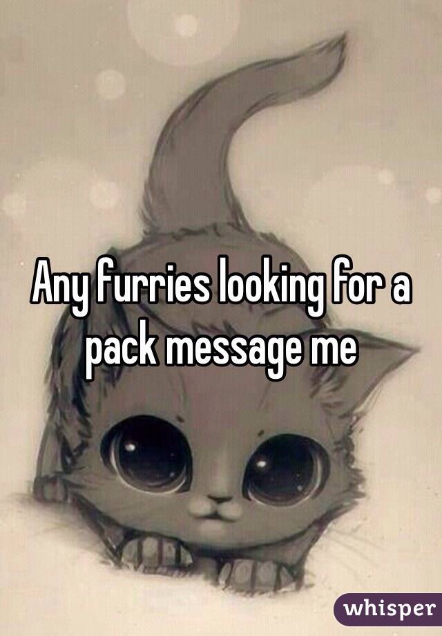 Any furries looking for a pack message me 