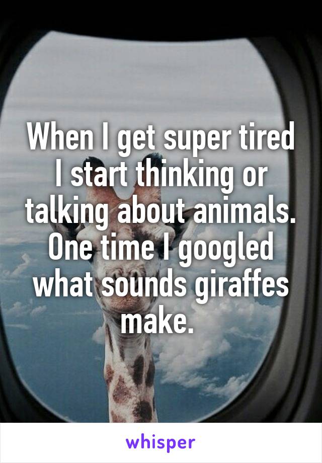 When I get super tired I start thinking or talking about animals. One time I googled what sounds giraffes make. 