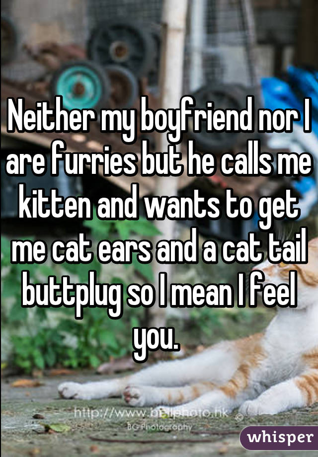 Neither my boyfriend nor I are furries but he calls me kitten and wants to get me cat ears and a cat tail buttplug so I mean I feel you. 