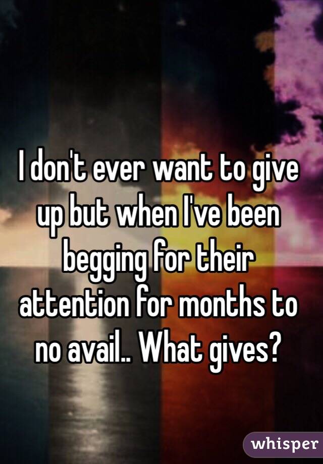  I don't ever want to give up but when I've been begging for their attention for months to no avail.. What gives? 