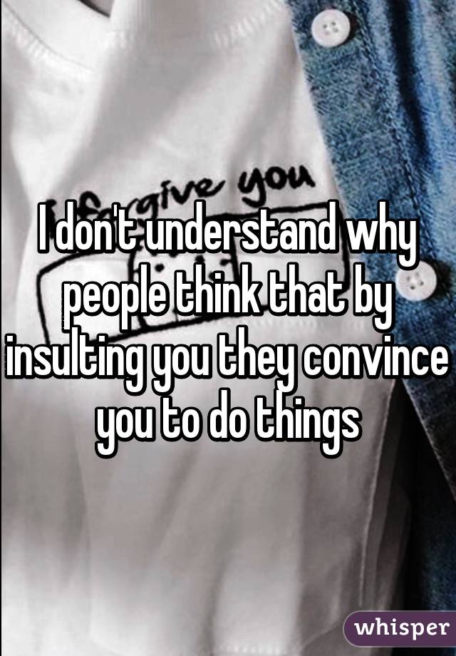 I don't understand why people think that by insulting you they convince you to do things