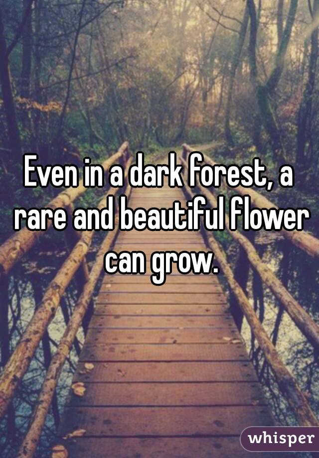 Even in a dark forest, a rare and beautiful flower can grow.