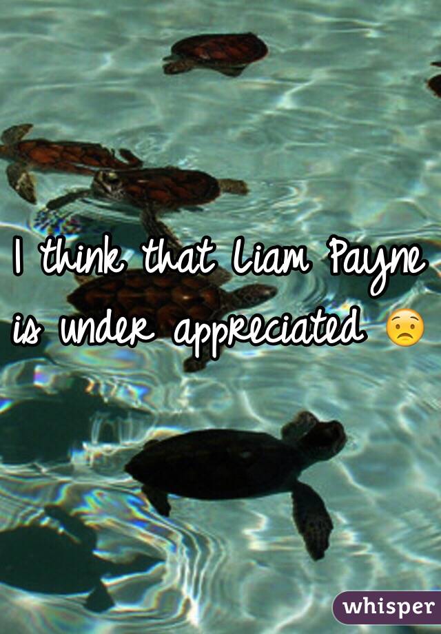 I think that Liam Payne is under appreciated 😟