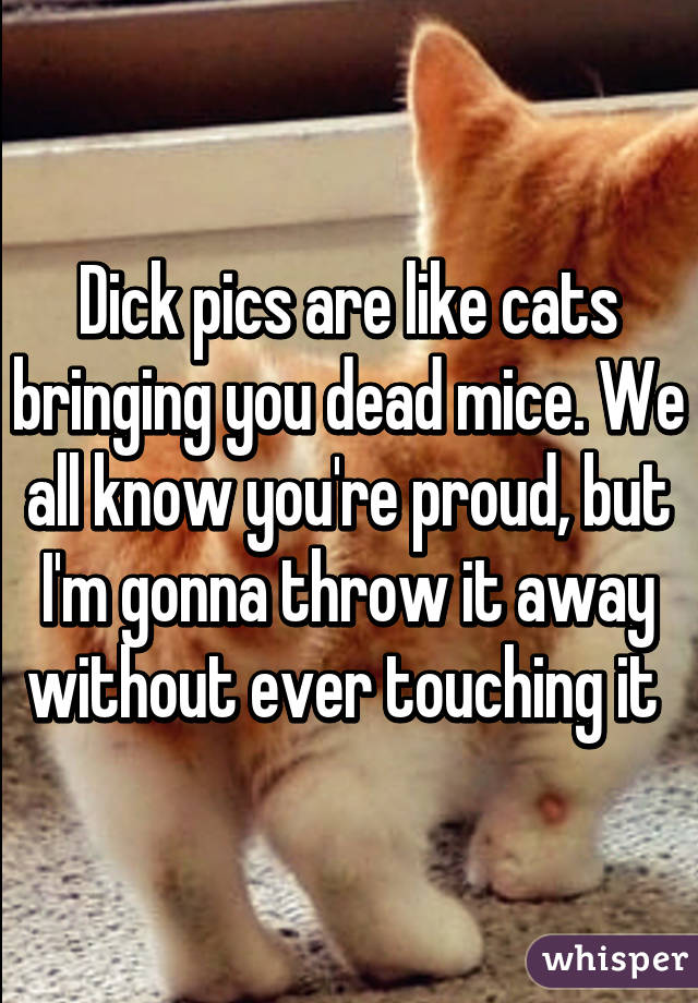 Dick pics are like cats bringing you dead mice. We all know you're proud, but I'm gonna throw it away without ever touching it 