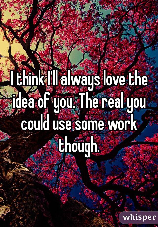 I think I'll always love the idea of you. The real you could use some work though. 