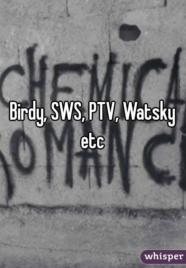 Birdy, SWS, PTV, Watsky etc 