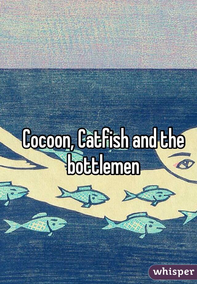 Cocoon, Catfish and the bottlemen