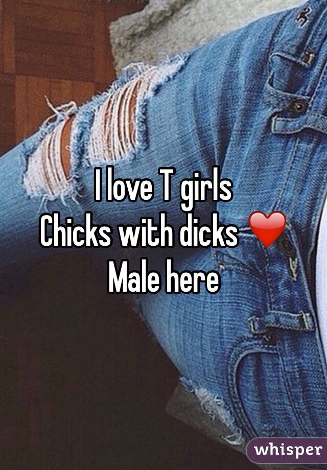 I love T girls
Chicks with dicks ❤️
Male here 